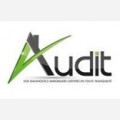 Audit