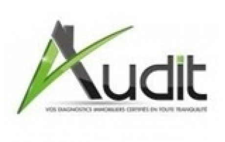 Audit